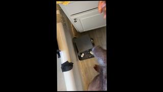 Video 1657088243: cock bbc masturbation solo, bbc masturbation solo male, hairy dick solo, bbc solo stroke, hairy guy solo, hairy mature solo, amateur cock sucking bbc, cock sucking black bbc, hairy sex amateur, hot solo cock masturbation, big hairy long dick, amature bbc, love hot solo masturbation