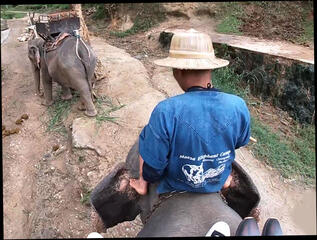 Video 1567581234: pov teen amateur blowjob, amateur pov blowjob hardcore, asian teen pov blowjob, teen pov big ass, teen big cock pov, thai teen pov, teen pov hd, riding teen sex, teen couple sex, teen hotel sex