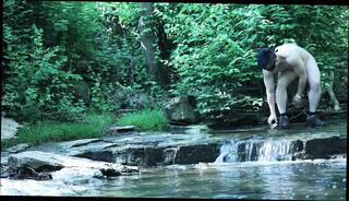 Video 1658479481: solo muscle hunk jerks, solo jerk cum, solo masturbation jerk, solo jerk gay, solo amateur jerking, solo outdoor cum, asian hunk solo, man solo jerk, solo jerking big, solo public masturbation, big butt solo, solo masturbation hd, muscular man solo, busting