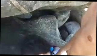 Video 1567442501: gay hunk cock, big cock blowjob gay, big cock muscle hunk, couple outdoor blowjob, gay asian hunk, muscular gay hunk, beach hunk
