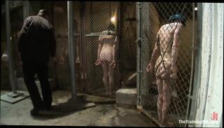 Video 1664002671: emma haize, missy minks, lesbian feet slave, milf slave squirt, lesbian feet fetish, milf squirt creampie, bondage slave girl, lesbian slave toyed, bondage slave training, two lesbian slaves, curvy lesbian slave, cbt slave, blonde lesbian slave, bondage torment, lesbian straight girl, master trains slave, slave girl hd, slave disciplined, one slave, slim slave, three slaves, lesbian exercise, uniform fetish