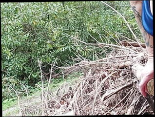 Video 1618245661: ssbbw dildo, dildo sex toy fuck, dildo sex toys masturbates, dirty talk dildo fuck, big dildo sex toy, straight dildo toys female, dildo fuck cum, fucking biggest dildo, dildo fuck outdoors, dildo fucking mature, male dildo, dildo hd, dirty american, horny big