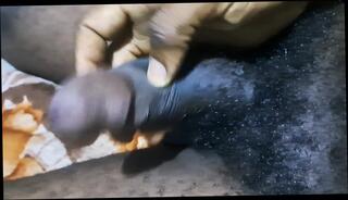 Video 1664173741: dick bareback creampie, piss boys bareback, gay bareback piss, gay massage bareback, black bareback creampie, femboy pissing, gay bareback hardcore dick, pissing penis gay, dick daddy bareback, pissing young gay boy, pissing masturbating gay, black gay man pissing, bareback daddy bear, mature boy creampie, femboy webcam, pornstar piss, black african creampie, long piss, hd femboy, fucking long black dick, penis sex, pleasuring penis, giant penis, good sex