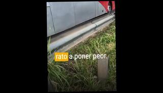 Video 1657553303: webcam babe solo, amateur solo porn, porn solo male, red head solo, solo male hd, solo celebration