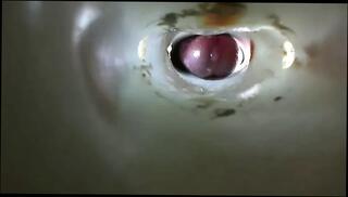 Video 1574188611: big cock bukkake, big cock joi, toy joi, cum joi, dick joi, sex joi, joi masturbation, gay joi, fat joi, hard cock precum