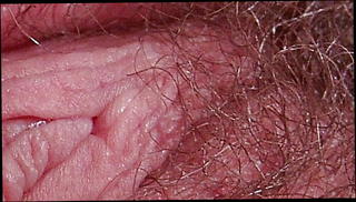 Video 841227801: homemade tight pussy, homemade straight, greek pussy, tight pussy close, mature pussy close, tight european pussy