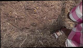 Video 1663067791: feet solo, gay boy feet, gay homemade solo, desi boy solo, indian boy solo, feet outdoors, feet hd