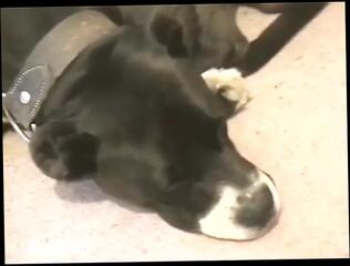 Video 1619390851: skinny dildo, girl dildo fucking pussy, dildo fucks pink pussy, skinny young girl fucked, small titted skinny girl, sex dildoing pussy, dildoing pussy hole, dildo fuck first time, passionate dildo fuck, smoking dildo fuck, brunette dildoing pussy, male dildo fucking, skinny young straight, sensual dildo, female dildo, passionate teenie