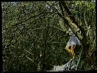 Video 12426604: hairy vintage anal, vintage hairy sex, vintage blonde hairy, hairy girl fucked, vintage 3some, jocks fuck hard, hot vintage fucking, vintage group sex, pretty hairy, very vintage, amazing vintage