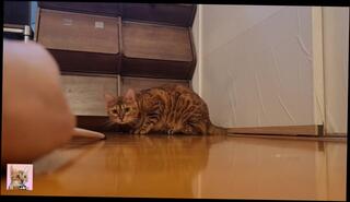 Video 1581737803: solo squirt orgasm, solo pussy squirting, solo anal squirt, teen solo squirt, solo squirt amateur, solo male squirt, solo female squirt, hentai squirt, anal sex squirting orgasm, solo teen toying pussy, japanese hentai amateur couple, sex hentai porn, dick licking hentai, teen homemade squirt, women squirting, hentai blowjob, teen pussy sex