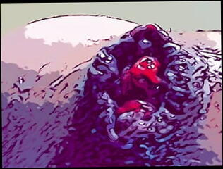 Video 1619181941: gaping prolapsed ass hole, anal gape prolapse, solo ass gape, anal sex ass gaping, gaping ass fucked anal, gaping ass hole toyed, gay gaping ass hole, gaping ass cunt, ass gaping rough sex, anal solo masterbation, homemade solo anal, gaping ass hole stretched, gaping loose ass hole, gaping ass hole close, huge gaping ass hole, gaping wrecked ass, sloppy anal gaping, anal gape hd, gay solo guy, pornstar gaping, straight guy solo, gaping ruined, gape cream, ass anal cum, american gay sex, ass hole broken