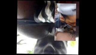 Video 1657369385: bbc bareback creampie, anal creampie cum fart, bareback gay anal creampie, creampie pussy fart, big ass bareback creampie, milking bbc cum, dick bareback creampie, cock bareback creampie, amateur bbc creampie, bbc milking big black, bareback creampie beautiful, monster bbc bareback, guy bareback creampie, fart fetish, anal creampie swallow cum, creampie blowjob amateur anal, latino gay bareback anal, creampie orgasm cum, pussy creampie pornstar, fat pussy creampie, big ass bbc lover, public creampie orgasm, bbc dick flash, bbc long dick, bbc man ass, bbc park