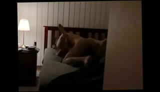 Video 1120160185: ass milf homemade, milf spreads legs, fuck desi milf, ass indian milf, milf fucked hard, milf india, milf natural