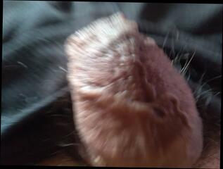 Video 1664753531: hairy cock solo, hairy solo gay, hairy man solo, hairy men solo, huge bbc solo, bbc oiled, bbc dominates, hairy cock boys, young boy bbc, oil penis, hardcore oil, dominates younger, oil hd, cock pleasuring