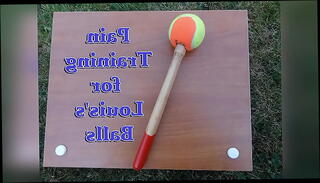 Video 1595566585: cbt bdsm, ball busting cbt, ball training, beach ball