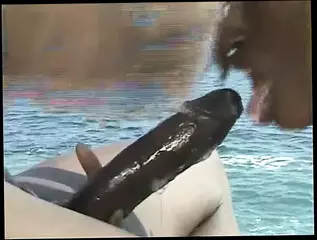 Video 1578002511: vintage retro porn, vintage hardcore retro, vintage retro big cock, vintage retro blowjobs, anal fucked retro, dirty vintage, vintage black cock, vintage big boobs, vintage orgasm, vintage pornstar, vintage straight, hot black vintage experience, fucks small black cock, dirty african, best porn
