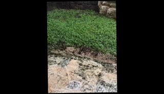 Video 1654300873: amateur casting babe, amateur latin babe, celebrity babe