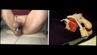 Video 1664246095: cbt bdsm, sex toys closeup, sperm closeup, cockring cumshot, electric cbt, sperm ejaculation