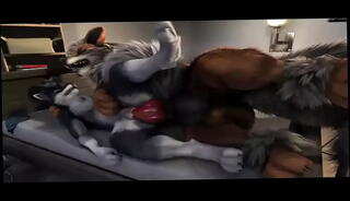 Video 1616646345: gay furry, anal compilation