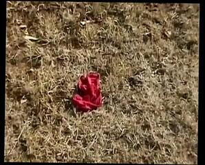 Video 1663912421: gangbang fuck party orgy, gangbang orgy sex party, bisexual orgy fuck, cum gangbang orgy, milf aunty fucked, girl gangbang orgy, amateur gangbang orgy, vintage milf fucking, sexy milf gangbang, milf gangbang big tit, german gangbang orgy, hot desi aunty milf, cougar orgy, indian hot milf aunty, sexy aunty pussy hardcore, sexy milf fuck suck, milf sucking dick fucking, milf cock sucking fucking, amateur milf homemade fuck, amateur milf fucked cumshot, milf blowjob tit fuck, foursome sex orgy, big breast milf fucked, natural tits milf fucks, sexy brunette milf sucks, milf sucking cock outdoor, milf sucking fucking huge, european pussy fucking milf, milf hot sexy mom, desi aunty pussy eating, perfect natural tits milf, milf mouth fucking, straight bisexual