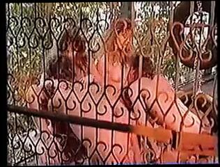 Video 105076901: vintage twins, straight joi