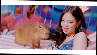 Video 1664178325: selena gomez, lesbian pink, black lesbians