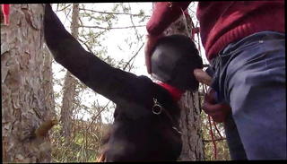 Video 1561400401: bound cock sucking, bound teen throat, bound deep throat, bound sex, bound amateur, bound blowjob, masked bound, bound tied, bound outdoors, brutal bound, dress bound, bound black, amateur straight cock sucked, amateur teen blowjob, public deep throat blowjob, heels sucks cock, sucking cock outside, sucks italian cock, sucking one cock, super deep throat, amateur high heels, sexy tied, cock dog