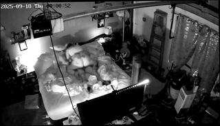 Video 1654245345: pawg interracial, ass white girl pawg, big ass pawg riding, pawg wet pussy, homemade pawg, german pawg