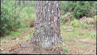 Video 1664218121: amateur sissy teen, shemale sissy, high heels sissy, french sissy, teen amateur hd