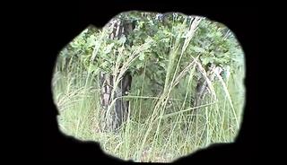 Video 1662783881: lesbian milf dildo, sex lesbian nudity, vintage lesbian sex, vintage lesbian pussy, teen lesbian dildo, lesbian girls dildoing, vintage lesbian anal, lesbians masturbation dildos, lesbian milf couple, amateur milf lesbians, first time milf lesbian, vintage german lesbian, lesbian mature dildo, cam girl anal dildo, nude lesbian sex, cute teen lesbian girls, lesbian straight girl, 1st time lesbian sex, amateur lesbian lust, wet lesbian sex, perfect lesbian sex, outdoor lesbian pussy, teen lesbian hd, lesbian games, lesbian hand, lesbian opens, fingering first, natural lesbian, fingers tongues, lesbian female, fingering shaved