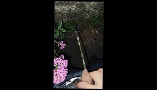 Video 1665959373: pee desperation pissing, caught peeing, uncut pee, solo male pee, amateur public piss, car pee