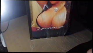 Video 1571102411: big tits gay