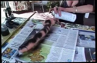 Video 1656380971: interracial black cock bbc, interracial bbc deep throat, interracial wife bbc, bbc interracial facial, interracial bbc big black, interracial bbc hard, cock big dick bbc, bbc pussy wife, giant bbc wife, bbc shaved pussy, brunette wife interracial, housewife bbc, straight bbc, african bbc, large bbc, beautiful bbc, cuckold, pecker deep throating, fucking big black dick, afro pussy