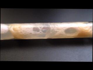 Video 1654277281: crossdresser bukkake, condom gay porn, condom gay sex, crossdresser sex toy, condom cum, sex hd porn