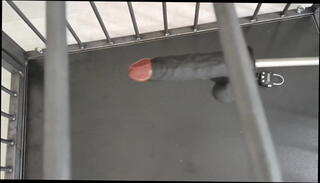 Video 1602876061: caged boy, cage anal, cage gay, gay nice boy, boy guy gay, bad boy