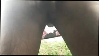 Video 1506874601: solo shemale masturbating, solo shemale amateur, solo outdoor masturbation, stockings solo masturbation, mature solo masturbation, solo masturbation hd, nylon tights, nylon dress, british mature solo