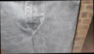 Video 1666206551: fetish gay piss, fetish gay solo, pissing straight gay, pissing outdoors gay, gay guys pissing, dick pee, pee jeans wetting, piss british, pissing hd