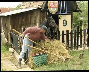 Video 1653423111: retro hairy pussy, hairy pussy missionary fuck, hairy pussy sucks dick, hairy pussy fuck anal, hairy teen pussy fuck, retro amateur cock sucking, hardcore hairy pussy fuck, hairy pussy babe fucked, blowjob hairy pussy fucked, hairy pussy fucked hard, teen hairy pussy hot, sucks big hairy dick, hairy anal sex, hairy pussies straight, retro german teens, huge hairy dick, hairy pussy nailed, hottest hairy pussy, eating hairy pussy, retro doll, haired hairy, hairy coed, fucking harder sucking dick, ass hole sucking dick, sucking teen facial, knees sucking dick, pretty teen anal, dark haired german teen