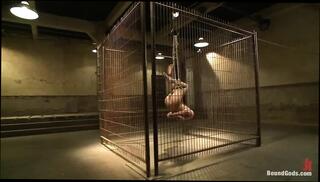 Video 1662916421: chad brock, bound caged, caged jock, bdsm cage, whipped dominated, gay jock sucks, cage fuck, cage blowjob, cock slave, anime fuck, hot caged, leather chains, knees slave, domination hd, leather master, cock jammed