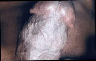 Video 1655700501: solo cumshot bbc masturbating, bbc cum dripping, bbc cock cum, amateur bbc cumshot, solo cumshots gay, solo masturbation close, solo masturbation hd, bbc rod