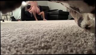 Video 1606782765: brunette blowjob doggy style, cam doggy style, slut doggy style, doggy style white, thick doggy, hidden cam blowjob
