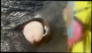 Video 1666059053: cum fetish amateur, horny amateur fetish, amateur fetish masturbation, fetish jerk, big dick fetish, big cock fetish, fetish orgasm, fetish cumshot, fetish man, white fetish, hard fetish, fetish guy, male fetish, masturbation orgasm ejaculation, cum jerk shot