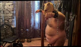 Video 1653120291: femdom domination submission humiliation, bondage slave femdom domination, bdsm bondage slave femdom, mistress humiliates slave, female domination bondage bdsm, femdom fetish humiliation, mistress spanking slaves, submissive slut humiliated, submissive bbw slut, submissive slave anal, chained bdsm sub, bdsm fetish plays, british femdom humiliation, bbw belly fetish, bbw fetish mature, very hairy anal, straight humiliation, fetish experience, haired submissive, domination hd, teasing spanking