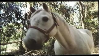 Video 1654304661: eric edwards, annette haven, big cock milf slut, milf slut big tits, hardcore milf orgasm, milf hardcore porn, milf hardcore cumshot, extreme milf orgasm, slut milf hard, big titted english milf, milf hd porn, milf women, straight milf