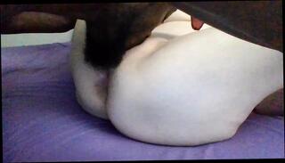 Video 1630804751: interracial doggy style homemade, interracial doggy style amateur, homemade interracial bbc, amateur doggy style pussy, doggy style pussy eating, tight pussy doggy style, doggy style moaning, doggy style straight, naughty doggy style, doggy style hd, american bbc