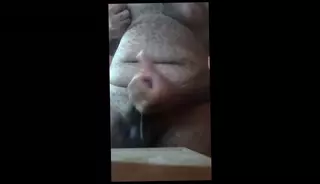 Video 1575691251: amateur gay hunks, amateur gay daddy, gay daddy bear, fat daddy gay, hunk handjob, brazilian hunk, daddy hd
