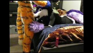 Video 1659093563: bareback furry, furry fetish, amateur bareback gay sex, sexy gay bareback, bareback sex blowjob