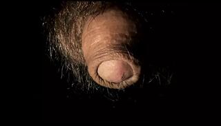 Video 1625228941: hairy cock solo, hairy dick solo, solo hairy masturbation, hairy solo gay, fetish solo masturbation, hairy bear solo, hairy man solo, thick hairy daddy cock, wanking big cock solo, solo webcam masturbation, solo close cock, hairy american, erect penis, big head thick cock, sexual, sperm