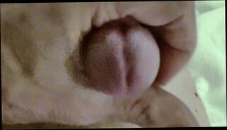 Video 1654891333: solo jerk cum, solo jerk cumshot, dick solo jerk, solo jerk gay, solo cock jerking, solo amateur jerking, solo guy jerking, solo male jerking, cum close solo, mature solo cum, hotel solo, curved cock cum, bed jerking
