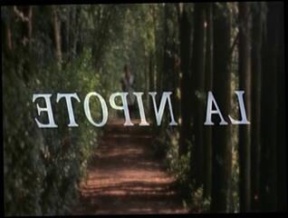 Video 32246704: erotic italian